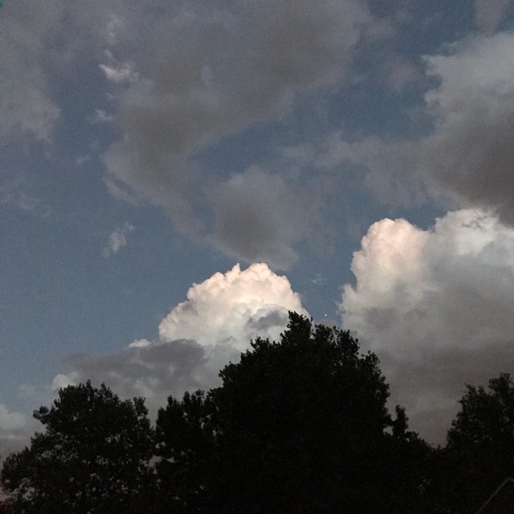 Meet the Posher - Picture 11 of 16